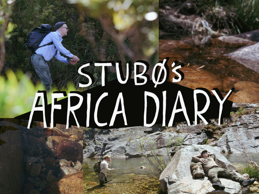 Day 1 - Cape Streams