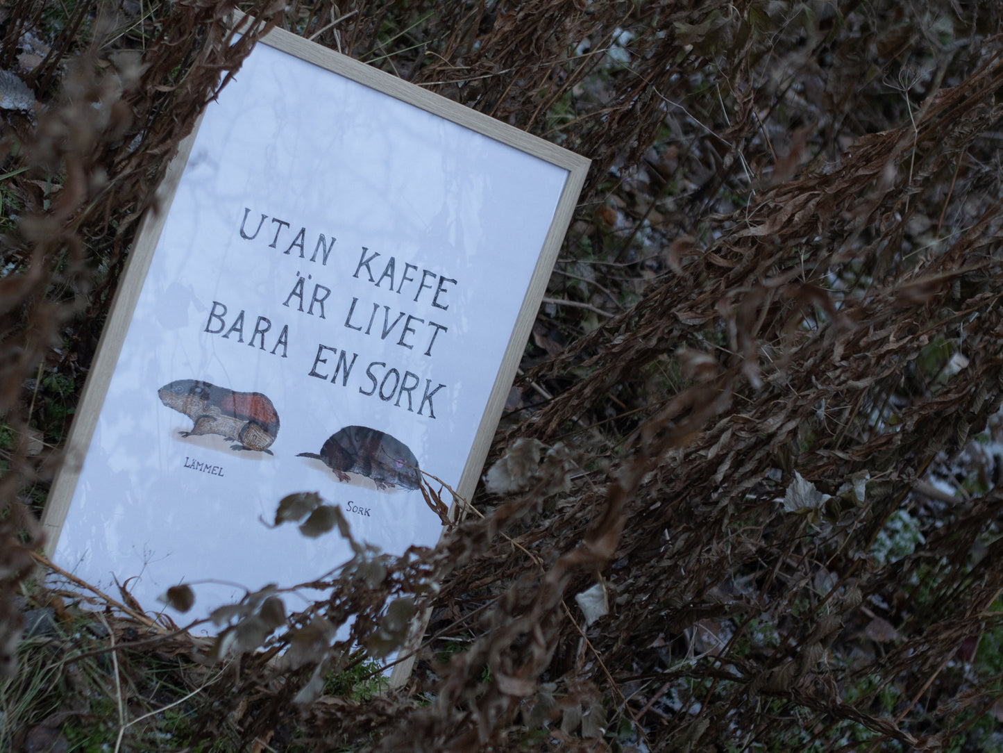 Poster "Utan kaffe är livet bara en sork" A2