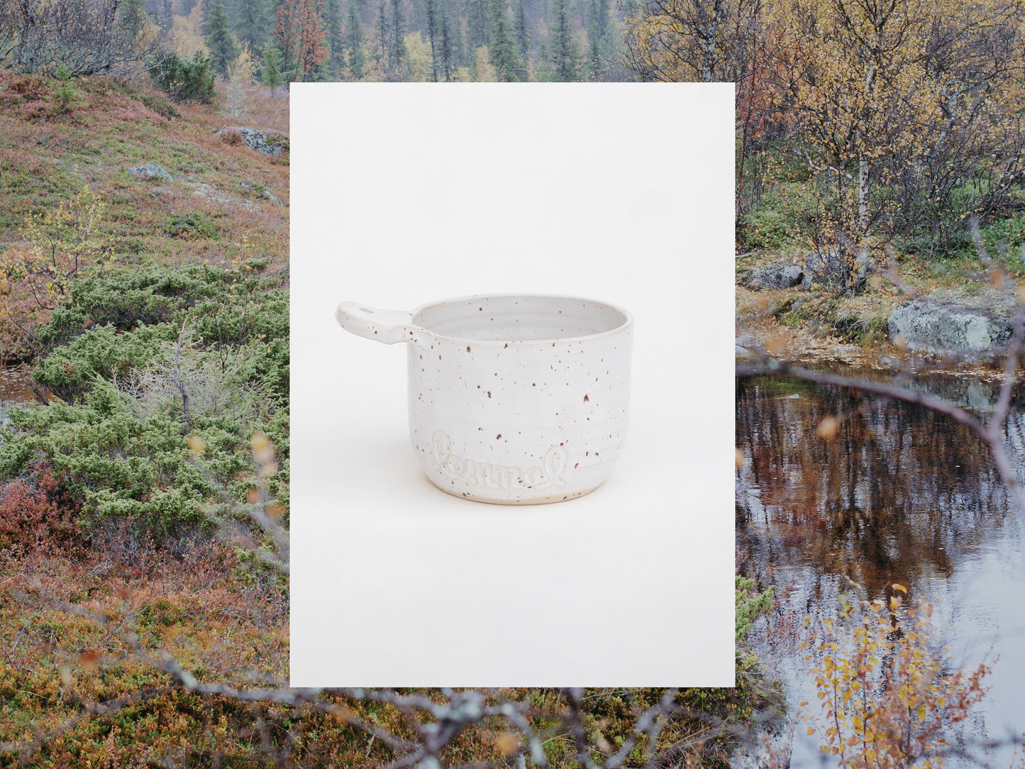 Betula