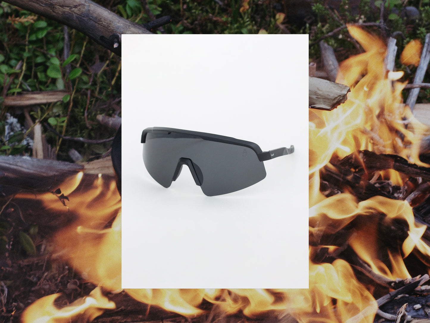 sunglasses "Kattbäcken"